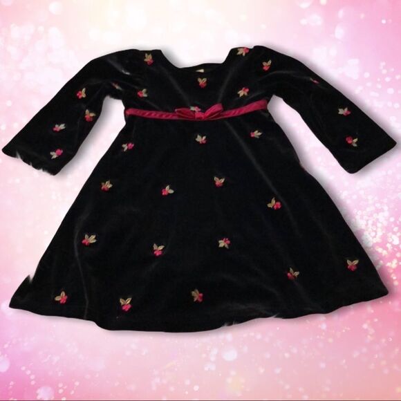Circo Black Velvet Dress Embroidered Roses 12M - Picture 1 of 16